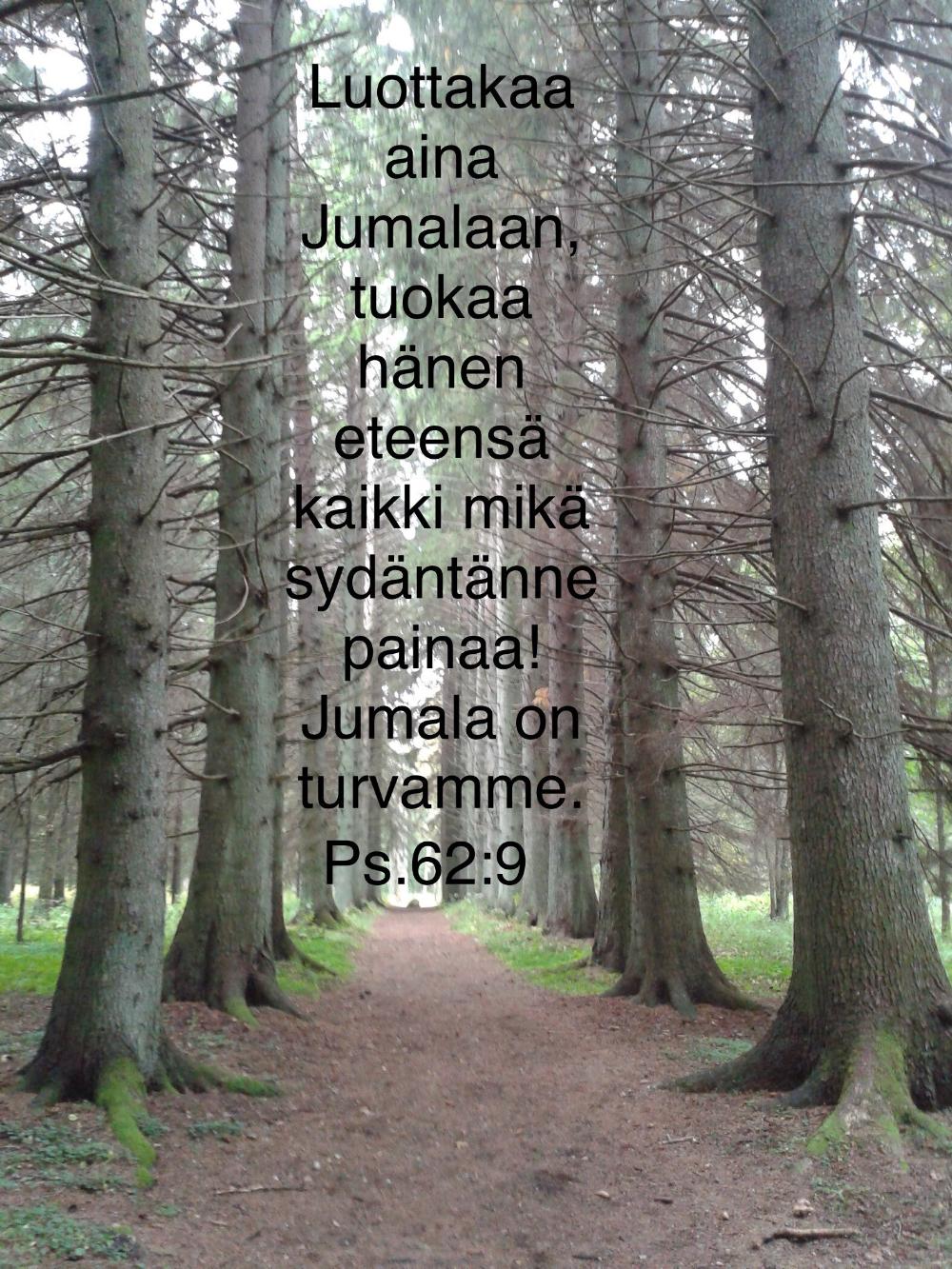 Polku kuusikujan keskellä psalmin 62:9 tekstillä
